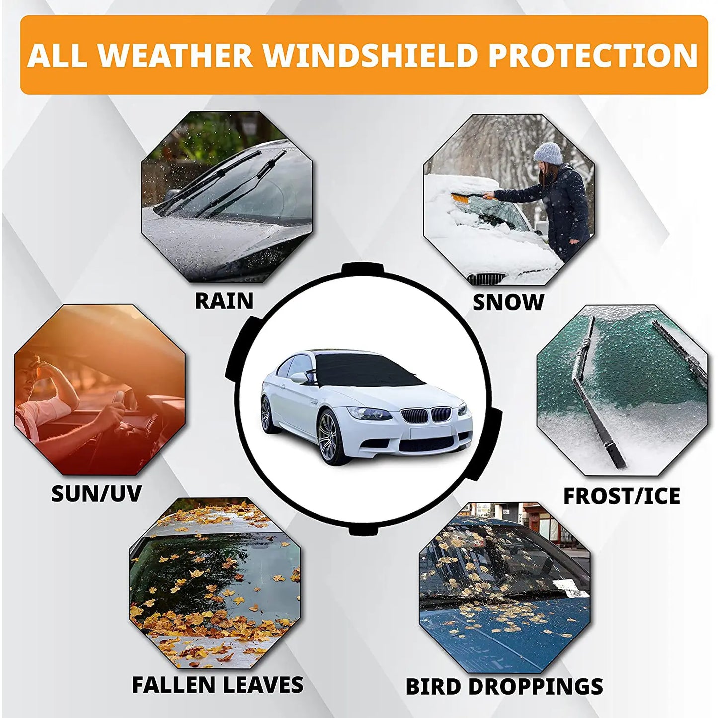 WeatherForce Windshield Guard